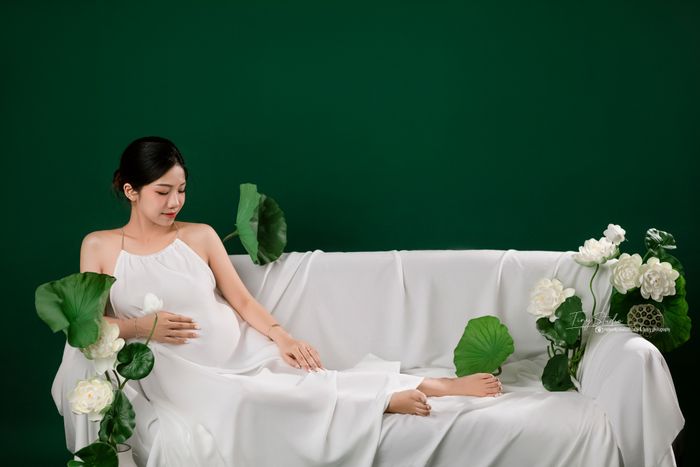 Bộ sưu tập ảnh bầu tự nhiên tại Tiny Studio