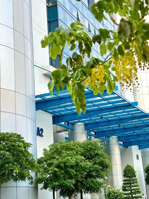 Hình Ảnh Tòa Nhà Biểu Tượng Của NEU