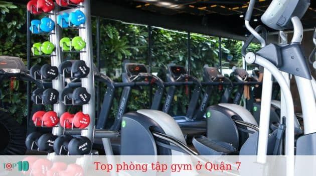 Fit24 – Fitness And Yoga