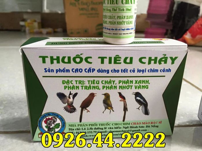 Bộ sưu tập hình ảnh sản phẩm Chào Mào Bác Sĩ