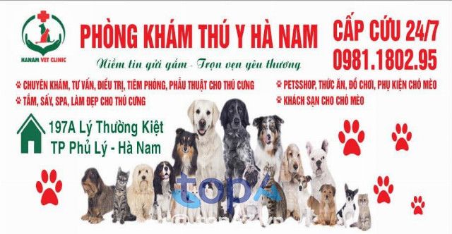 Phòng khám thú y Hà Nam - Đẳng cấp chăm sóc thú cưng toàn diện