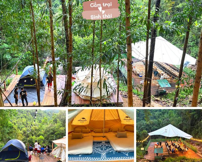 Khám phá vẻ đẹp hoang sơ tại Kong Forest