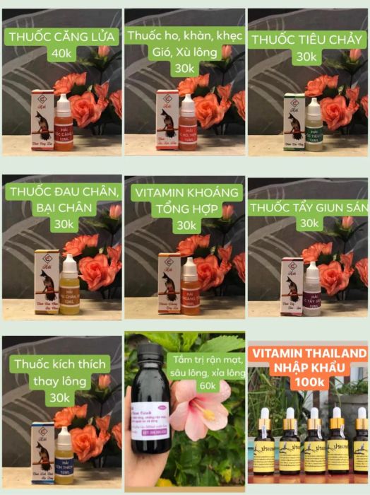 Hình ảnh sản phẩm Thuốc Chim Cảnh Phạm Công Hải