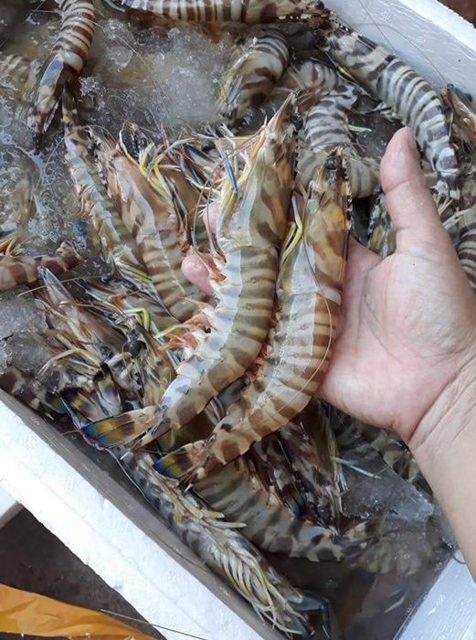 Hình ảnh món ngon đặc trưng tại Hương Vị Biển