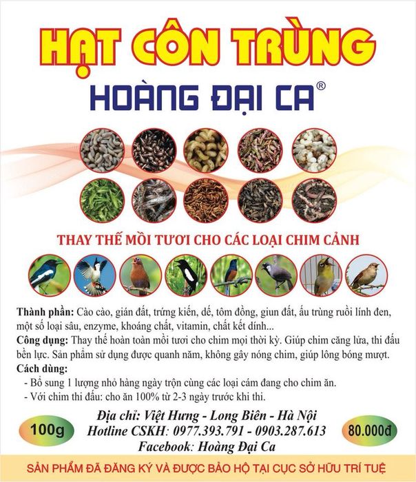 Hình ảnh Hoàng Đại Ca - Thức Ăn Chim Cảnh 1