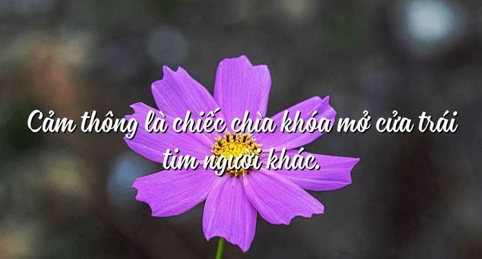 Ảnh minh họa (Nguồn internet) ảnh 1