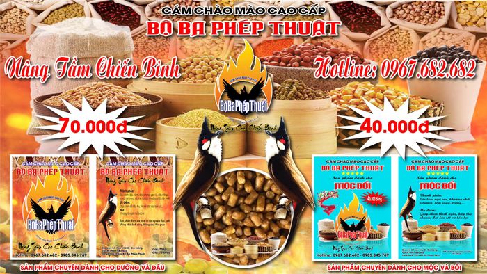 Hình ảnh Công ty TNHH MTV Bộ Ba Phép Thuật 1