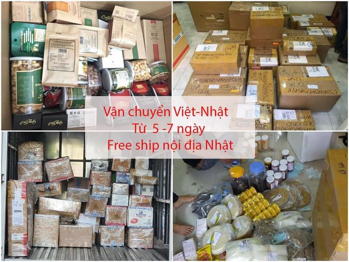 Hình ảnh hệ thống kho bãi và phân phối hiện đại của DMD EXPRESS