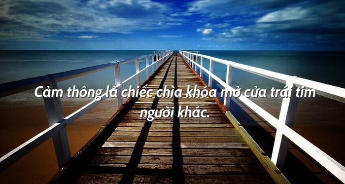Ảnh minh họa (Nguồn internet) ảnh 1