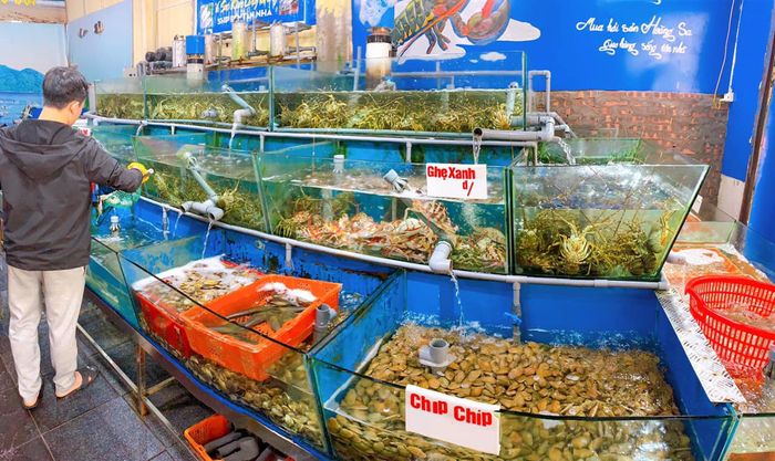 Hình ảnh không gian ấn tượng tại Hải Sản Hoàng Sa