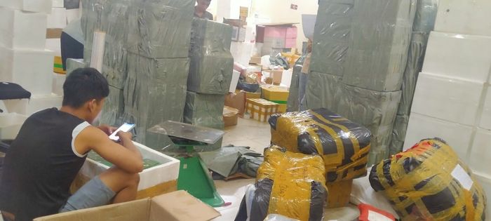 Hình ảnh quy trình đóng gói và kiểm tra hàng hóa chuẩn quốc tế