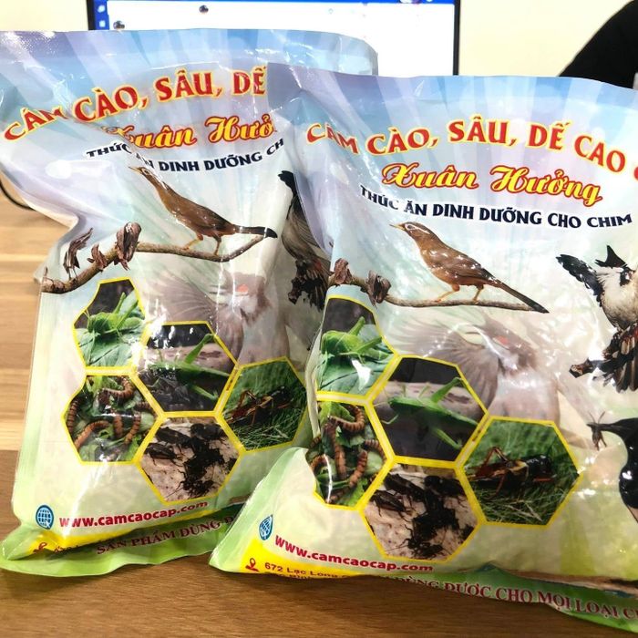 Hình ảnh Cám Chim Xuân Hưởng 1