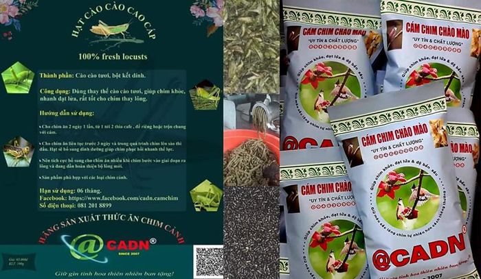 Hình ảnh Hãng sản xuất thức ăn Chim Cảnh CADN 1
