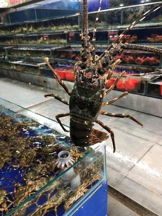 Những món hải sản tươi sống được chế biến tinh tế tại Chợ Hải Sản Bảo Bảo