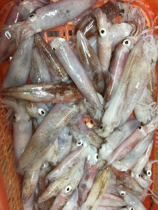 Các loại hải sản đa dạng được chế biến tại Hải Sản Diệp Cửa Hội