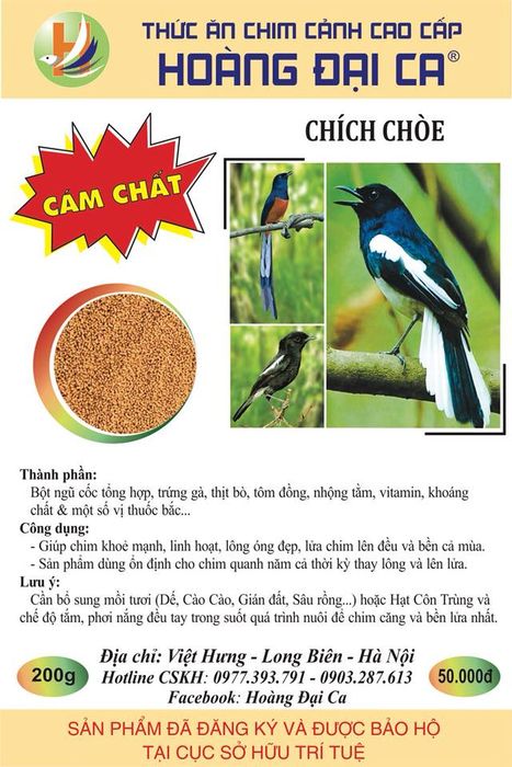 Hình ảnh Hoàng Đại Ca - Thức Ăn Chim Cảnh 2
