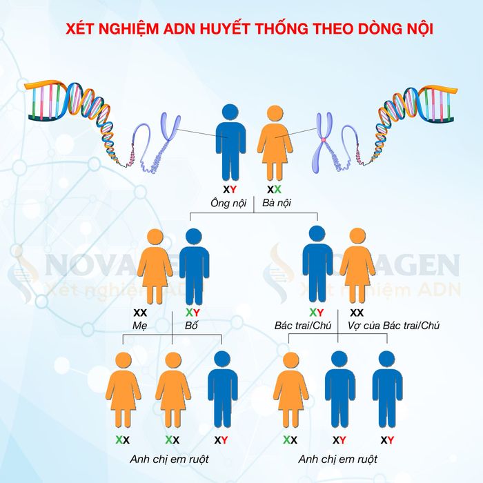 Hệ thống máy móc hiện đại tại phòng lab NOVAGEN