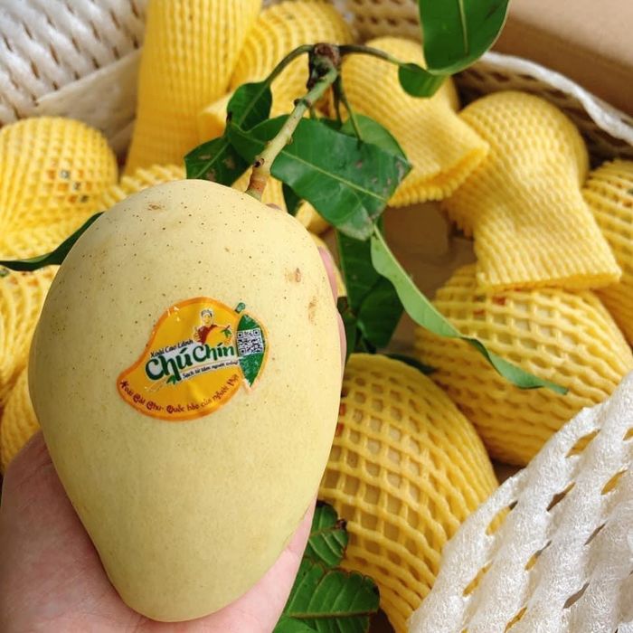 Các loại trái cây nhập khẩu cao cấp tại DP Fruits - Ảnh 2