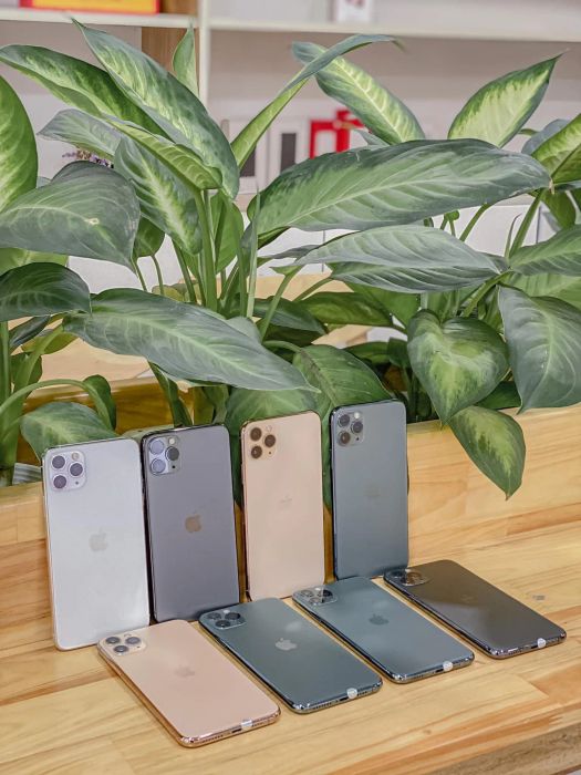 ZinPhone BMT ảnh 2 - Góc nhìn chân thực về chất lượng dịch vụ