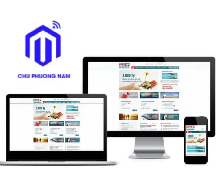 Digital Marketing Chu Phương Nam, hình ảnh 2