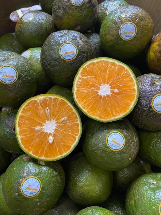 Nông sản tươi ngon tại HC Farm - Ảnh 2