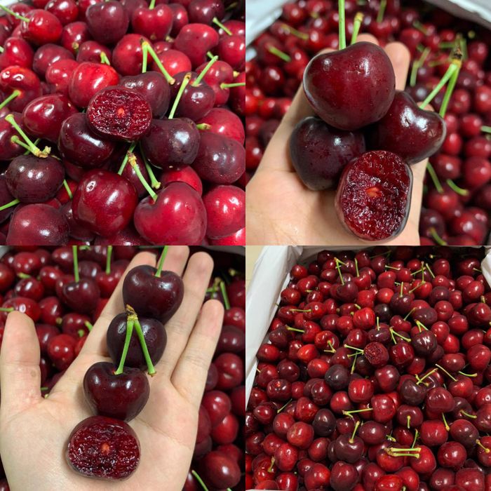 Bộ sưu tập trái cây nhập khẩu tại Tuyết Trinh - Ảnh 2