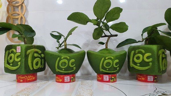 Ảnh minh họa (Nguồn Internet) - Ảnh 2
