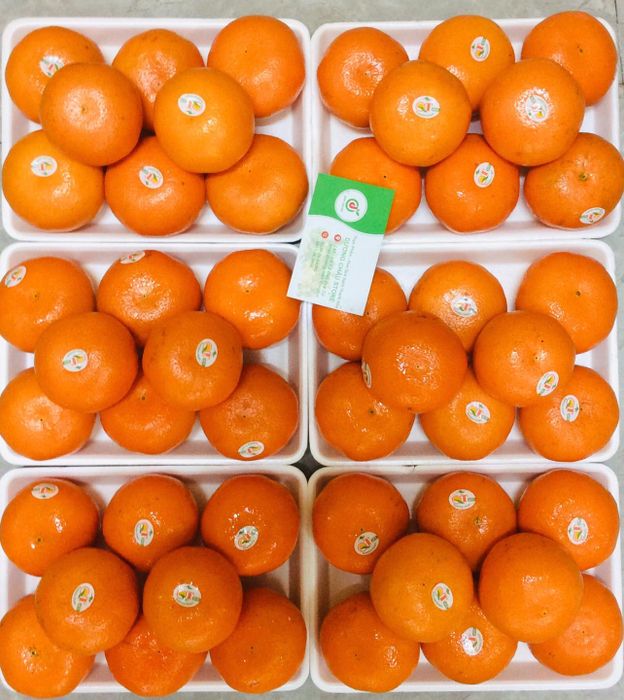 Bộ sưu tập trái cây cao cấp tại Dương Châu Store - Ảnh 2