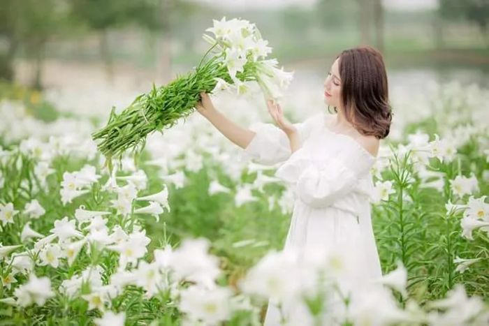 Ảnh minh họa (Nguồn internet) - ảnh 1