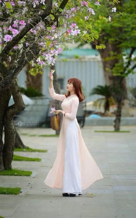 Ảnh minh họa (Nguồn internet) - ảnh 1