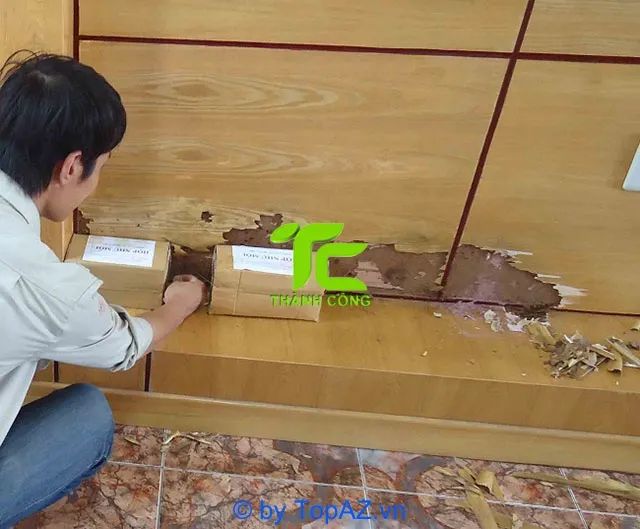 Công ty diệt mối tại Q. Bình Tân, TPHCM