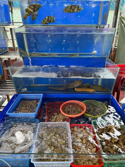 Hùng Mập Quán Ảnh 1