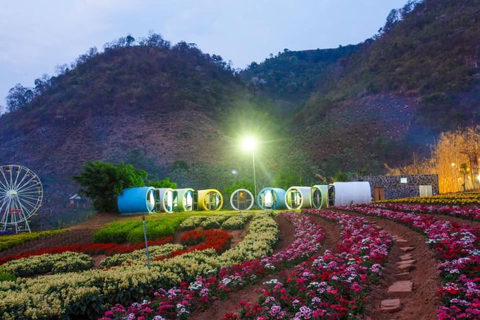 Happy Land Mộc Châu - Những căn Bungalow sắc màu ẩn hiện giữa biển hoa