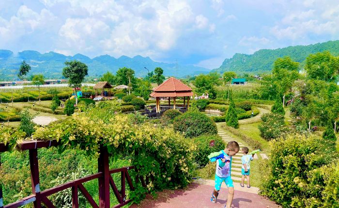 Mộc Châu Eco Garden - Khung cảnh bình minh tuyệt mỹ bên dòng suối trong veo