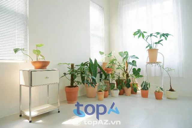 Tree Space - Điểm hẹn xanh Quy Nhơn