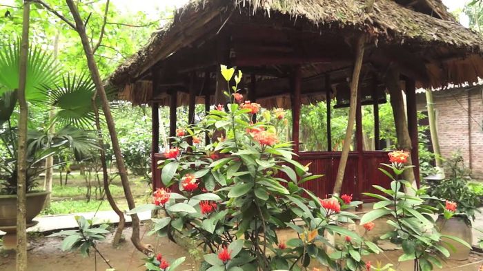 Hình ảnh vườn sinh thái Hương Tràm