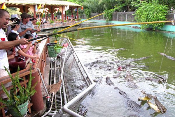 Khoảnh khắc đẹp tại Khu du lịch Thới Sơn - Cồn Phụng