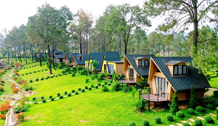 Phoenix Mộc Châu Resort - Khoảnh khắc bình minh trên rừng thông Bản Áng