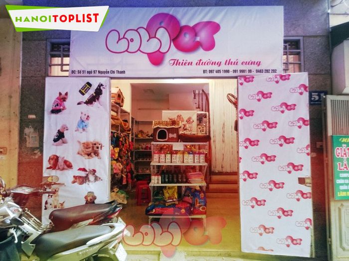 lolipet-dia-chi-cham-soc-thu-cung-uy-tin-ha-noi-Mytour