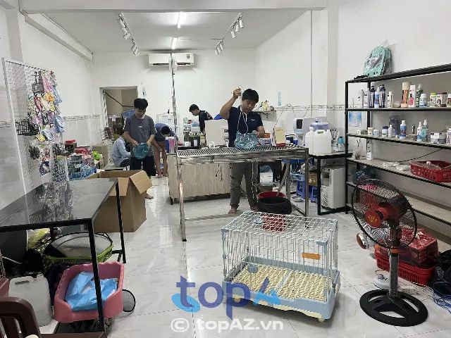 Phòng khám thú y MartinPet tại thành phố Cần Thơ - Địa chỉ uy tín cho sức khỏe thú cưng
