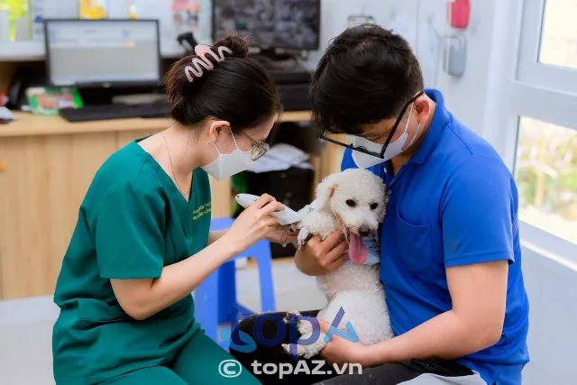Vet Care Cần Thơ - Địa chỉ uy tín chăm sóc sức khỏe cho thú cưng