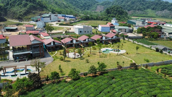 Emopea Mộc Châu - Ngôi nhà gỗ ấm cúng giữa biển trà xanh ngút ngàn