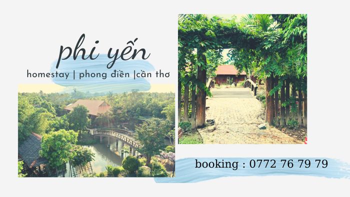 Hình ảnh thiên đường trái cây Phi Yến - Nét đẹp miệt vườn Nam Bộ
