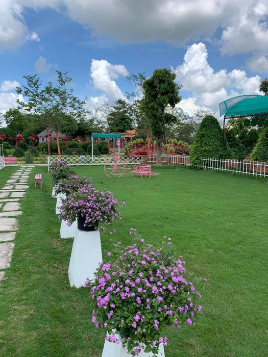 Ấn tượng với góc check-in độc đáo tại Khu du lịch Cánh Đồng Hoa Hồng Sa Đéc - nơi những vườn hoa hồng được bài trí nghệ thuật, tạo nên khung cảnh lãng mạn đẹp như tranh vẽ.