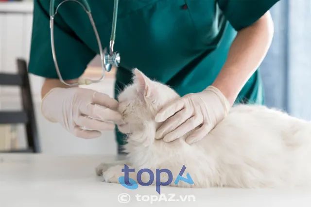 Phòng Khám Thú Y Ngọc Thảo tại thành phố Cần Thơ