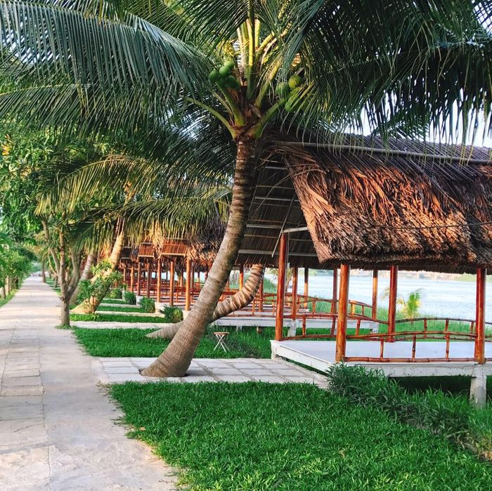 Khu Sinh Thái Dã Ngoại Khuê Trung - Ảnh 1