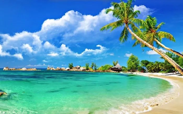 Bãi Dài - Dải cát vàng uốn lượn bên biển xanh