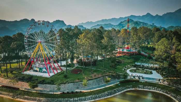 Hình ảnh Phoenix Mộc Châu Resort - Khu nghỉ dưỡng giữa rừng thông Bản Áng