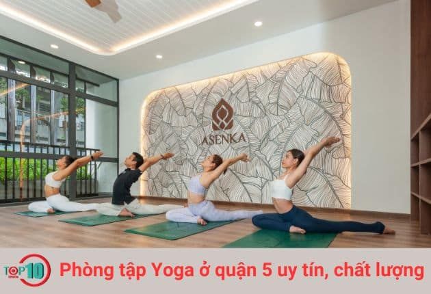 Không gian tập luyện tại Asenka Yoga Studio được thiết kế tinh tế với ánh sáng tự nhiên, âm nhạc nhẹ nhàng và hệ thống thông gió hoàn hảo. Đội ngũ huấn luyện viên chuyên nghiệp cùng trang thiết bị hiện đại mang đến trải nghiệm Yoga toàn diện. Thường xuyên có các chương trình ưu đãi đặc biệt dành cho học viên thân thiết.