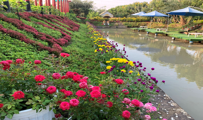 Khám phá góc hình thứ hai tại Khu Du Lịch Sinh Thái Tiên Định - nơi những vườn hoa rực rỡ sắc màu hòa quyện cùng kiến trúc nhà nổi, tạo nên bức tranh thiên nhiên sống động.